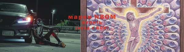 ECSTASY Нефтекумск