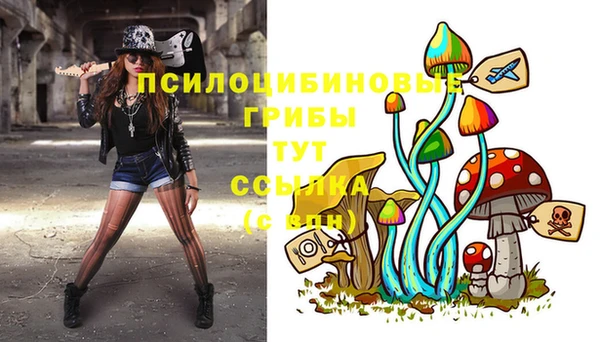 spice Абинск
