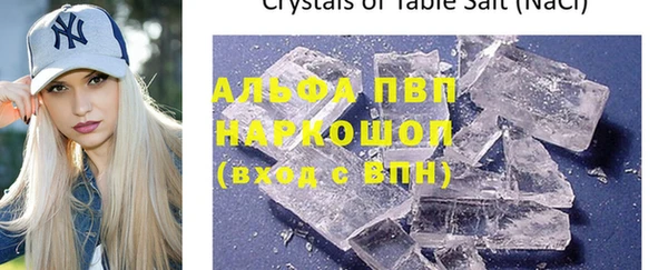 гашик Нея