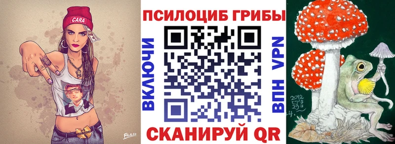 Псилоцибиновые грибы MAGIC MUSHROOMS  наркота  Кириллов 