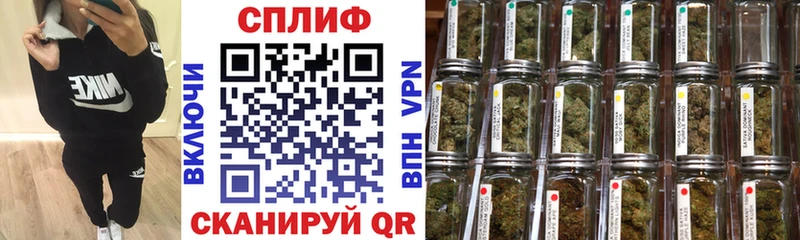 где купить наркоту  Кириллов  Бошки марихуана конопля 